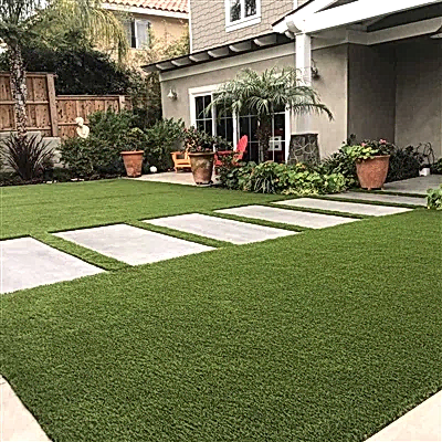 Suni Çim Üreticilerini Seçmek İçin Nedenler