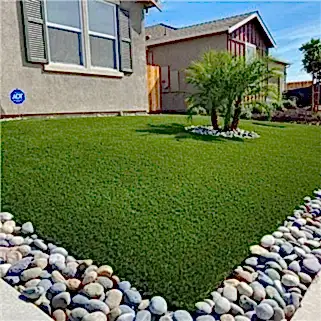 25mm Peyzaj Ev Dekorasyonu Sentetik Çim Çim